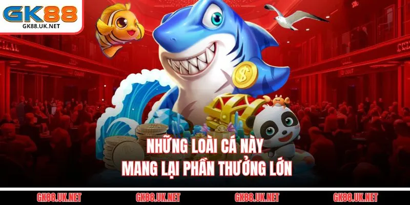 Những loài cá này mang lại phần thưởng lớn